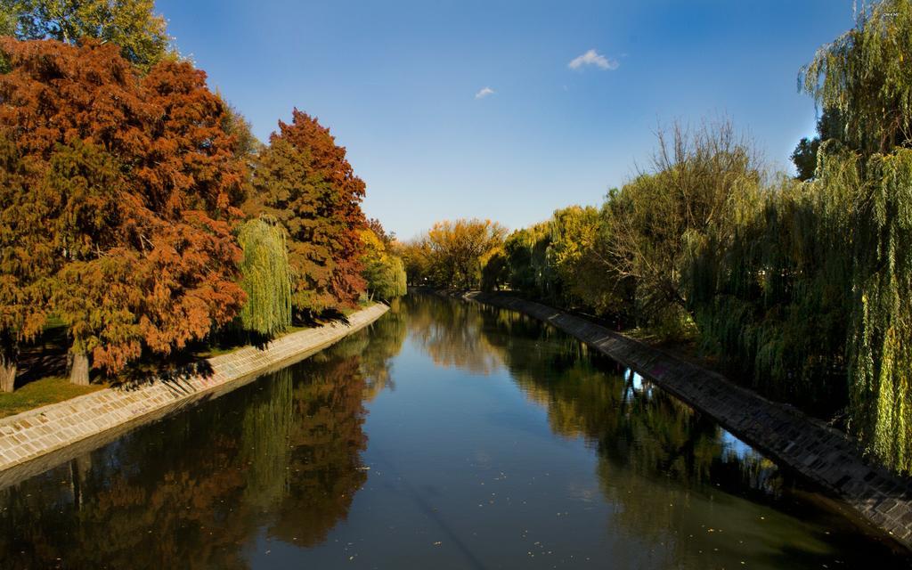 Try The Central Feeling Timisoara Bagian luar foto